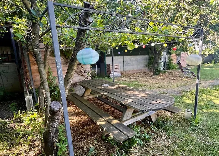 Les Poules heureuses